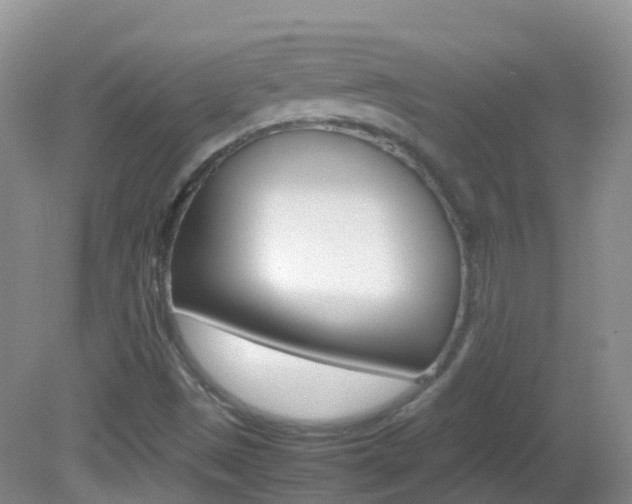 X0000082691497200701260941