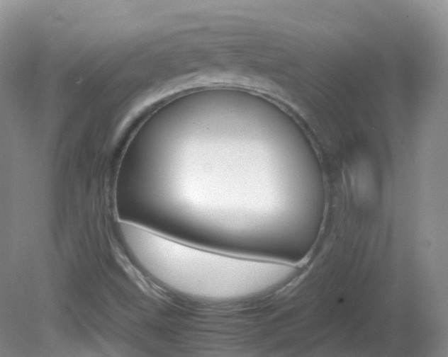 X0000082691499200701260941