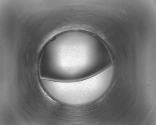X0000082691500200701260941