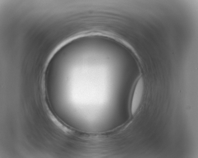 X0000082691516200701260941