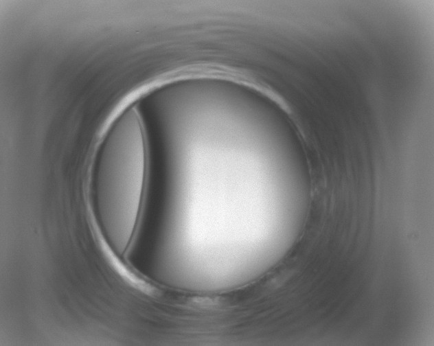 X0000082691523200701260941