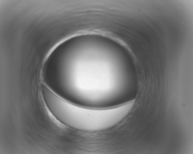 X0000082691524200701260941