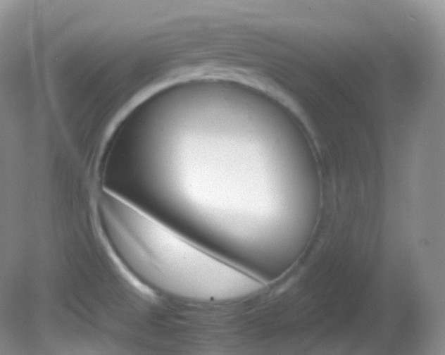 X0000082691525200701260941