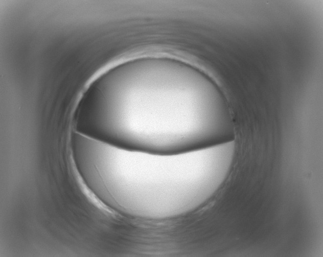 X0000082691526200701260941