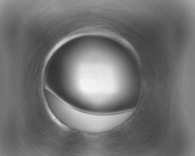 X0000082691528200701260941