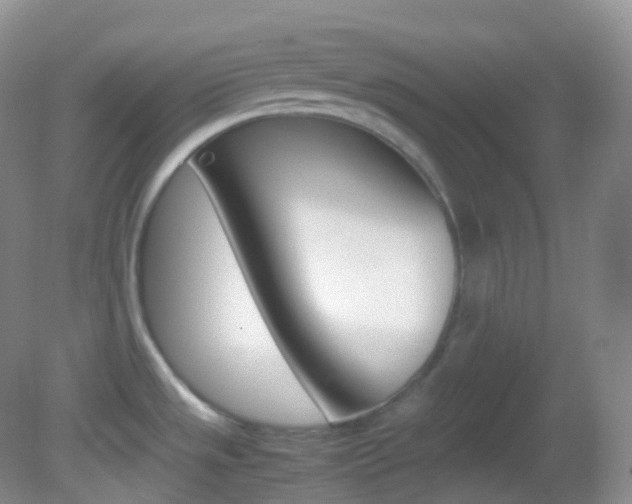 X0000082691533200701260941