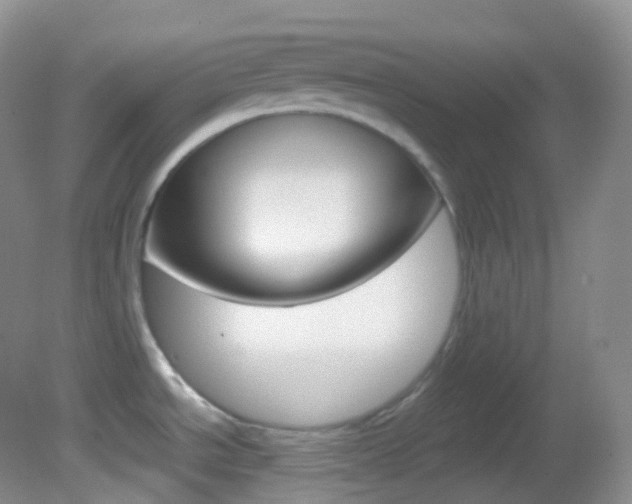 X0000082691534200701260941