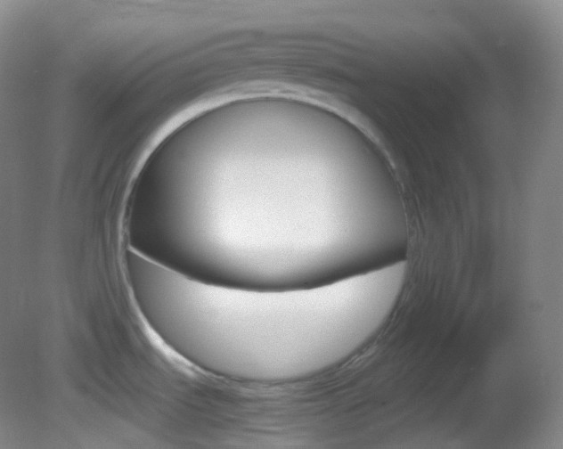 X0000082691535200701260941