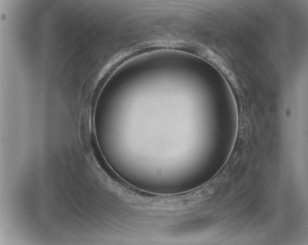 X0000082690011200701261232