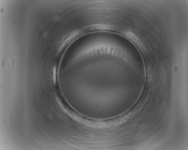 X0000082690014200701261232