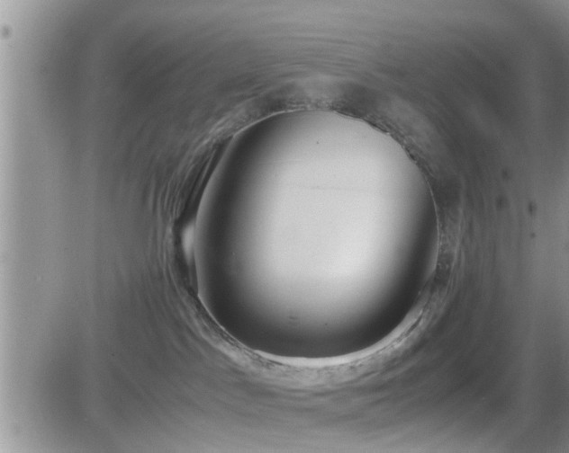 X0000082690045200701261231