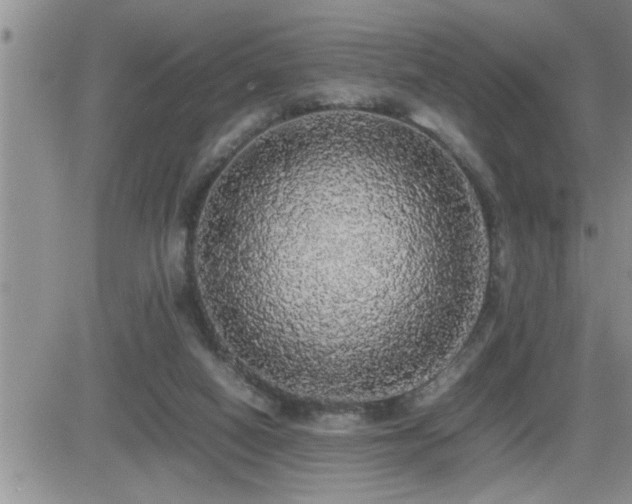 X0000082690066200701261231