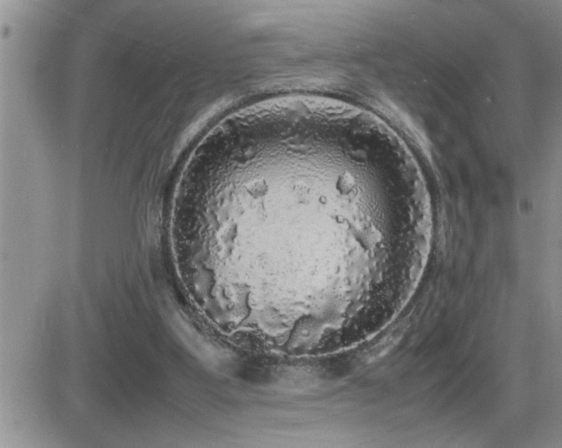 X0000082690107200701261230