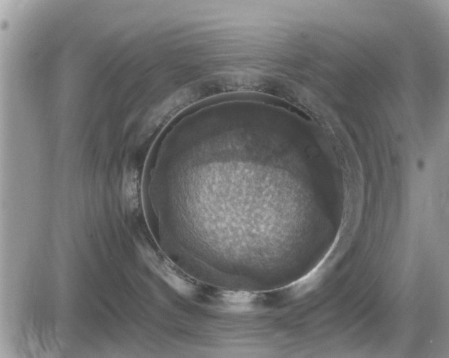 X0000082690144200701261230