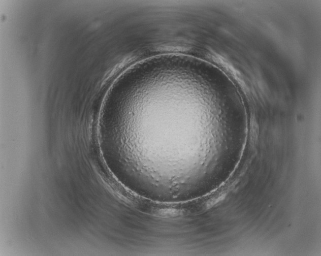 X0000082690153200701261229
