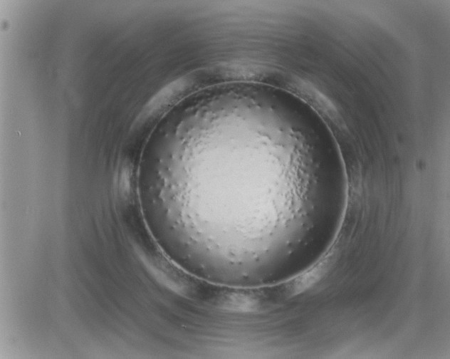 X0000082690166200701261229