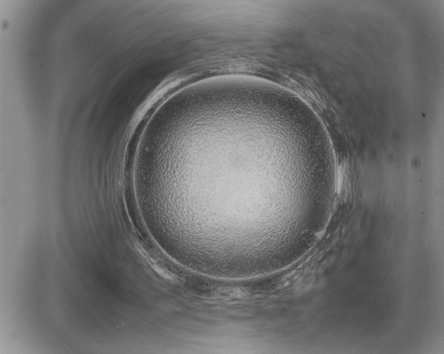 X0000082690195200701261229