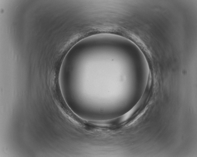 X0000082690201200701261229