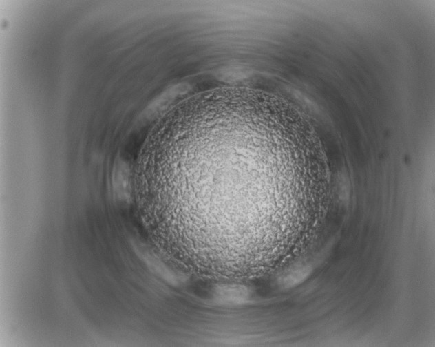 X0000082690234200701261228