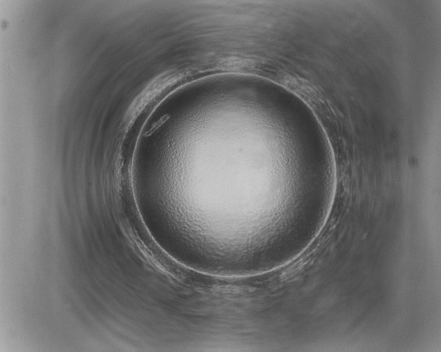 X0000082690242200701261227