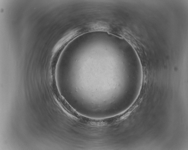 X0000082690245200701261227