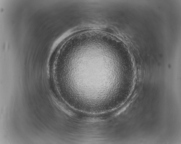 X0000082690246200701261227