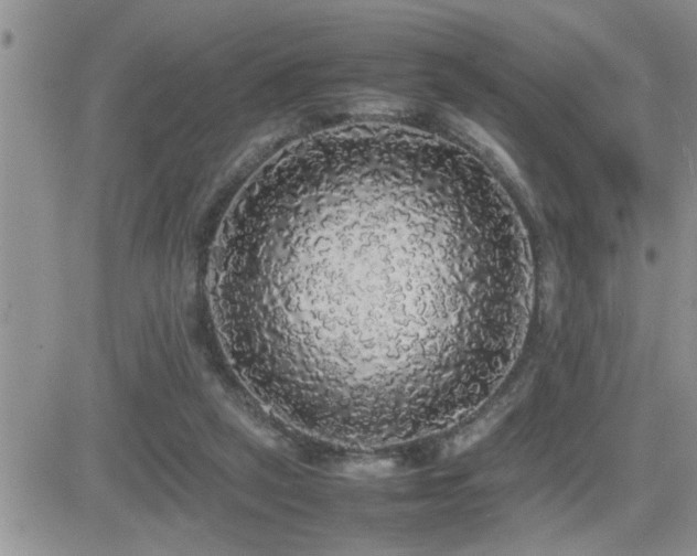 X0000082690257200701261228