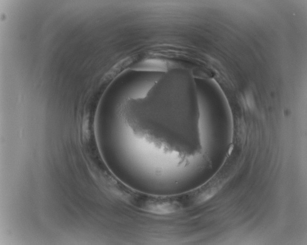 X0000082690267200701261228