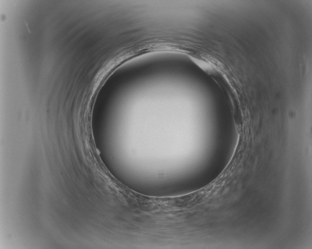 X0000082690289200701261227