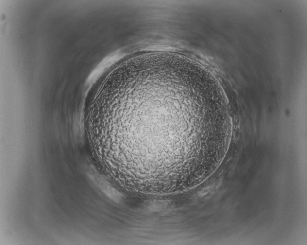 X0000082690296200701261227