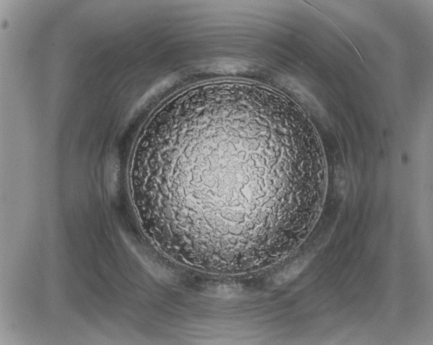 X0000082690304200701261227