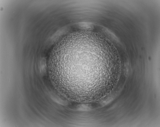 X0000082690320200701261227