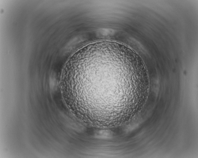 X0000082690324200701261227
