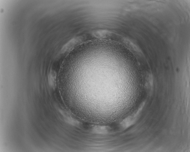 X0000082690332200701261227