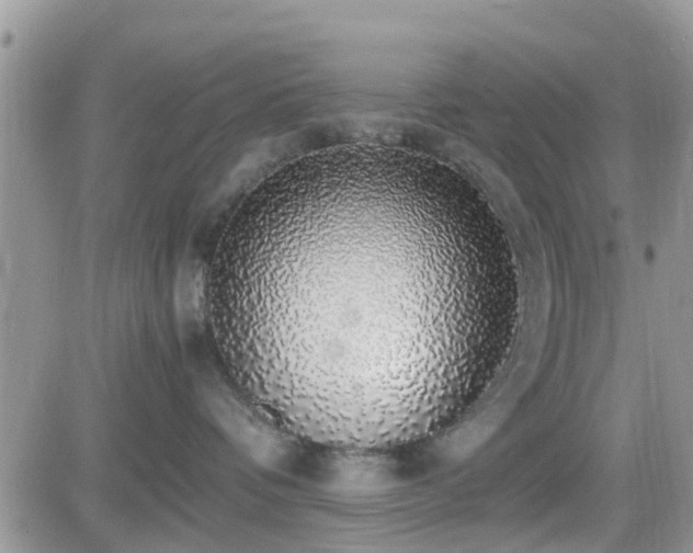 X0000082690336200701261227