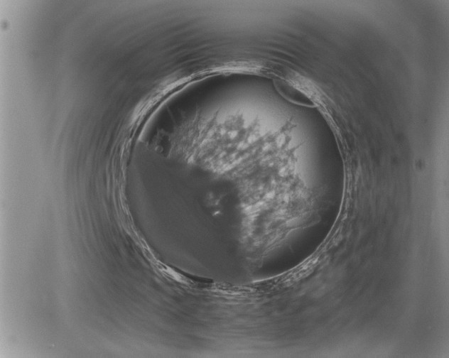 X0000082690337200701261226