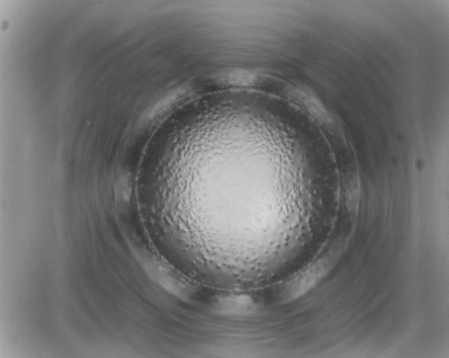 X0000082690374200701261226