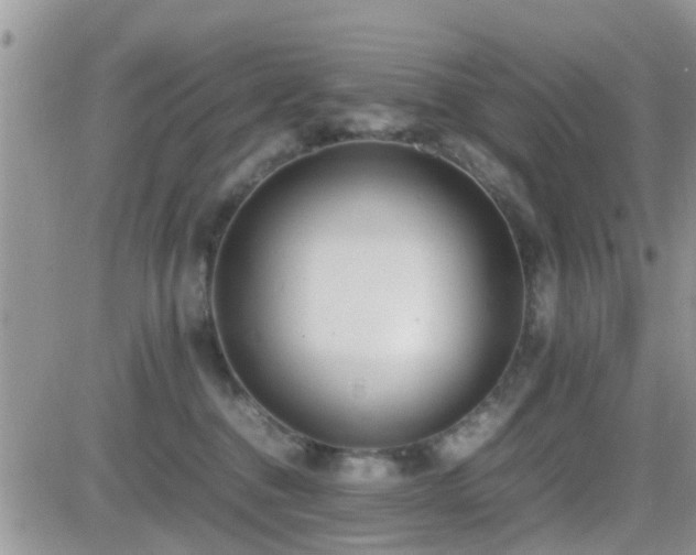 X0000082690376200701261226