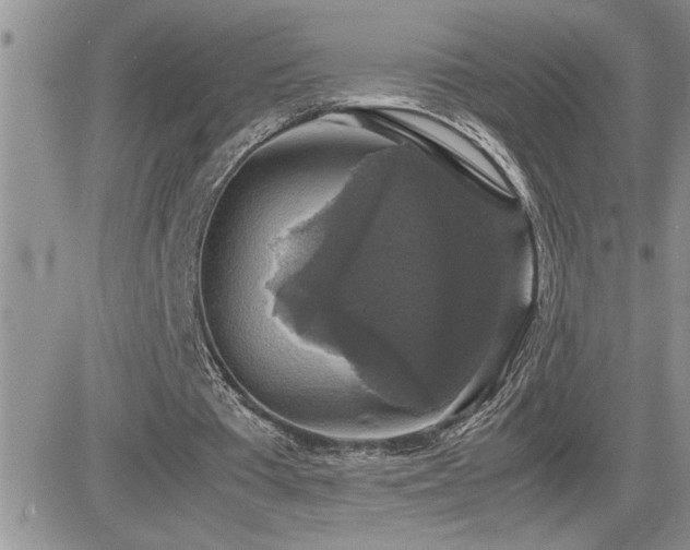 X0000082690385200701261226