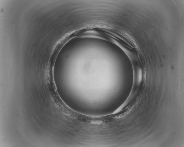 X0000082690388200701261226