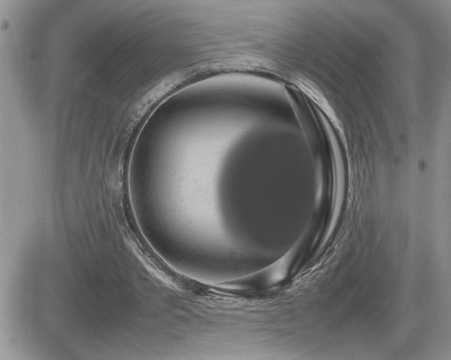 X0000082690389200701261226