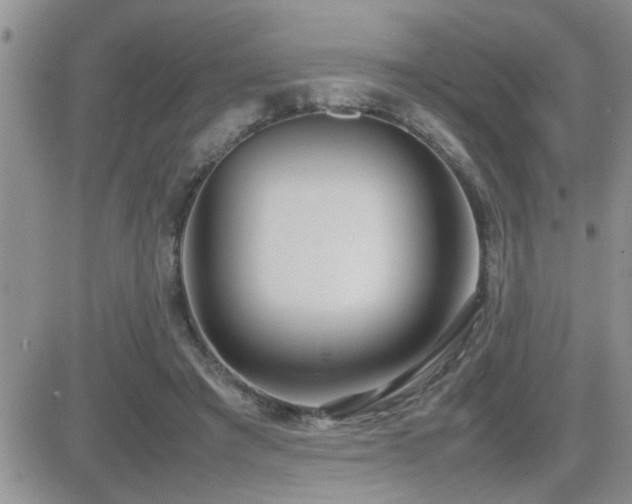 X0000082690401200701261226