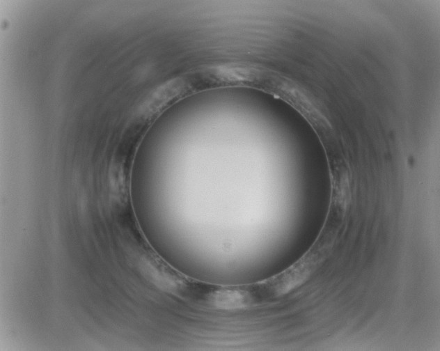 X0000082690418200701261225