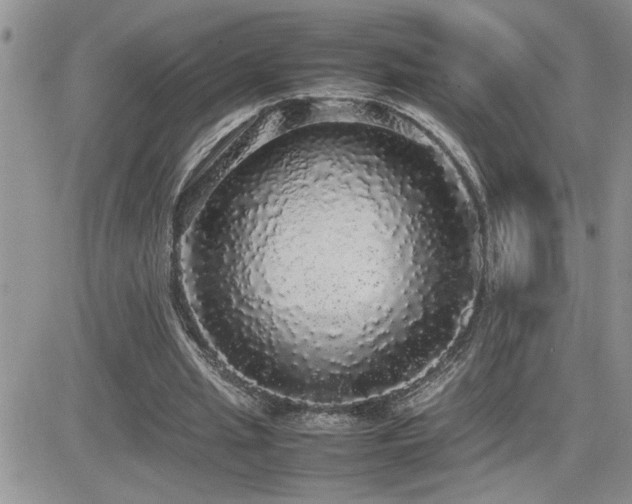 X0000082690437200701261224
