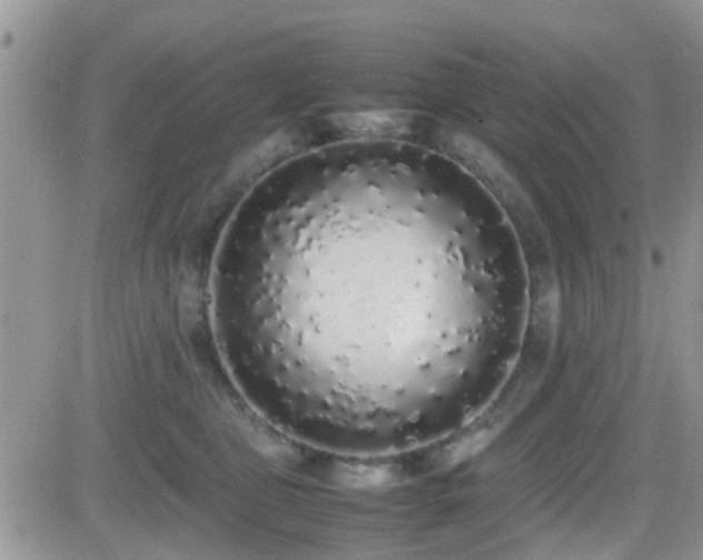 X0000082690469200701261225