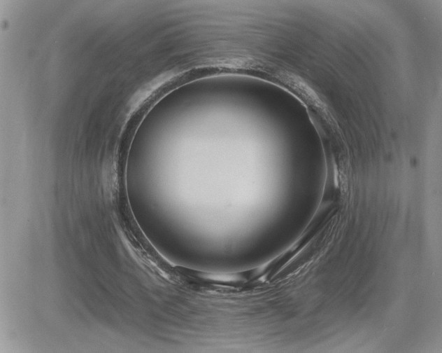 X0000082690532200701261223