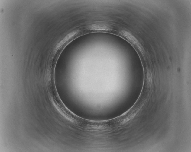 X0000082690533200701261223
