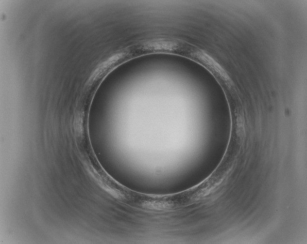 X0000082690537200701261223