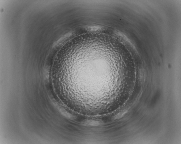 X0000082690545200701261223