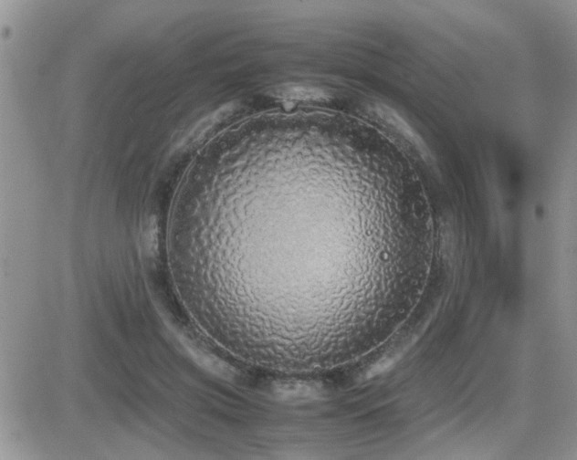 X0000082690549200701261223
